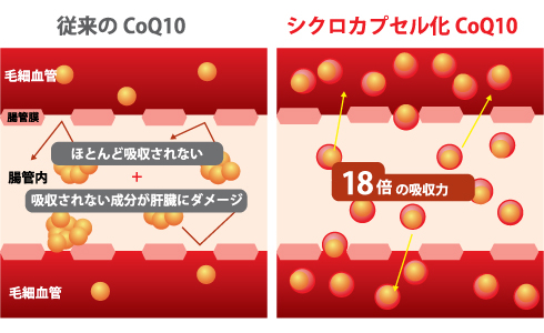 CoQ10包接体の仕組み