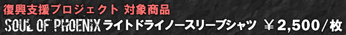 饤ȥɥ饤Ρ꡼֥ġ2,500/1