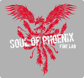 SOUL OF PHOENIX