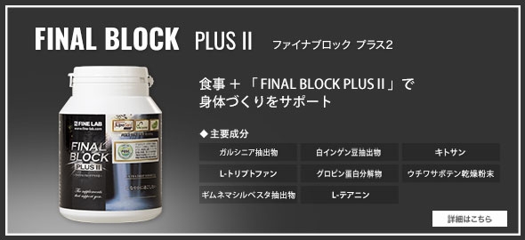 ファイナルブロック PLUS 2